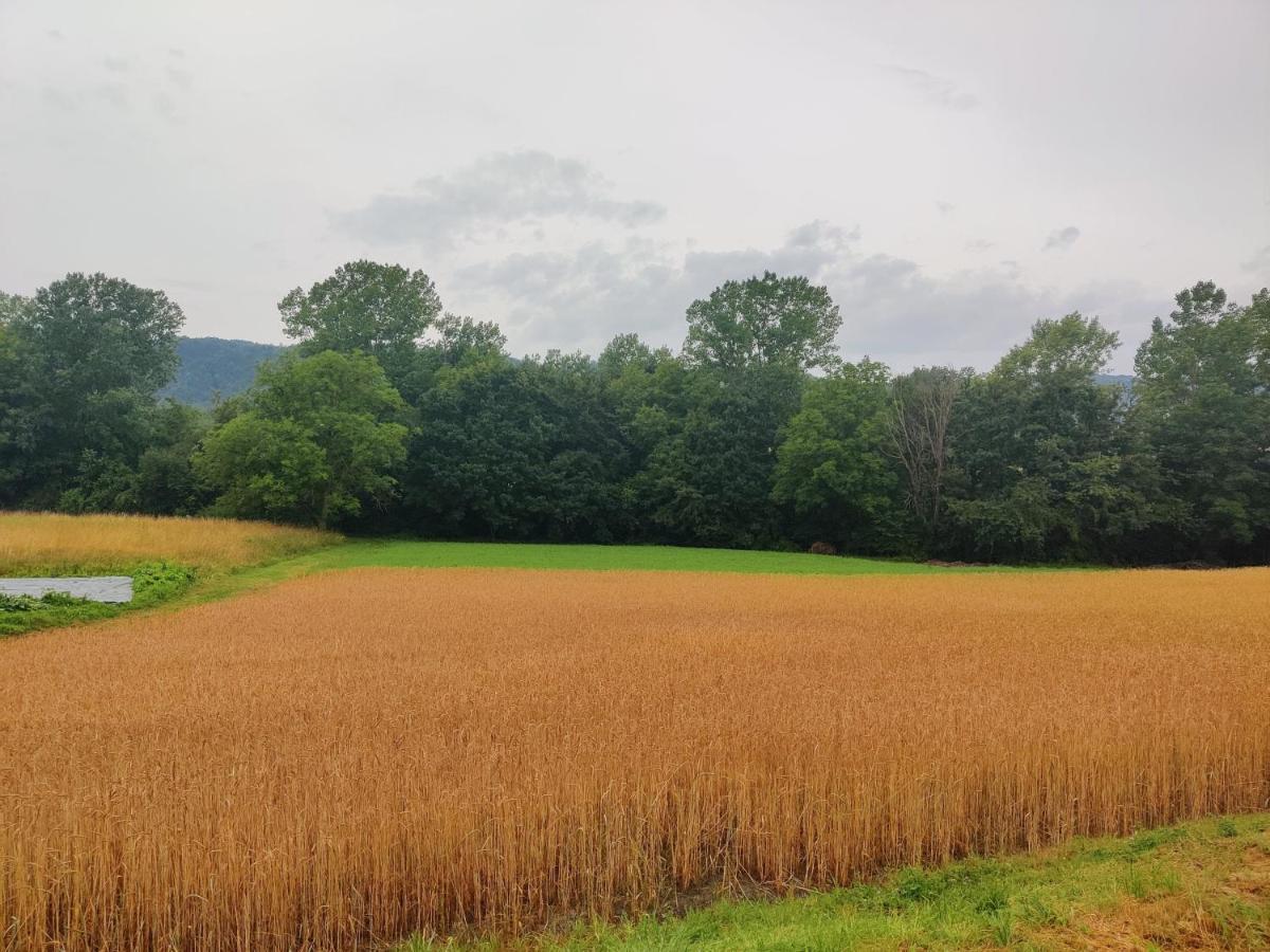 Agriturismo Munarin Caterina Mioglia Eksteriør bilde